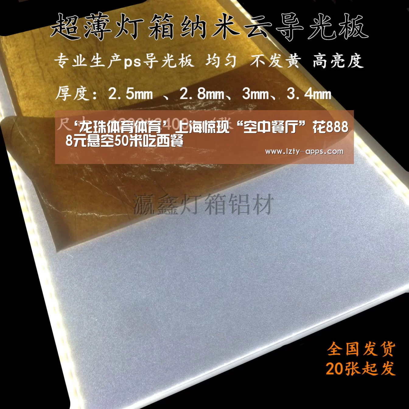 龙珠体育体育