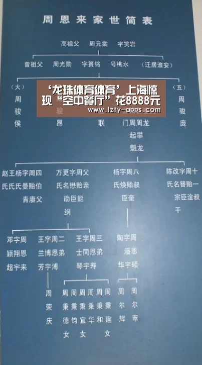龙珠体育