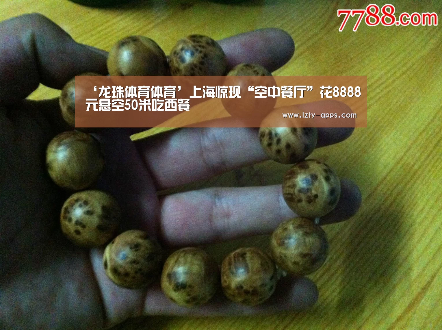 龙珠体育体育
