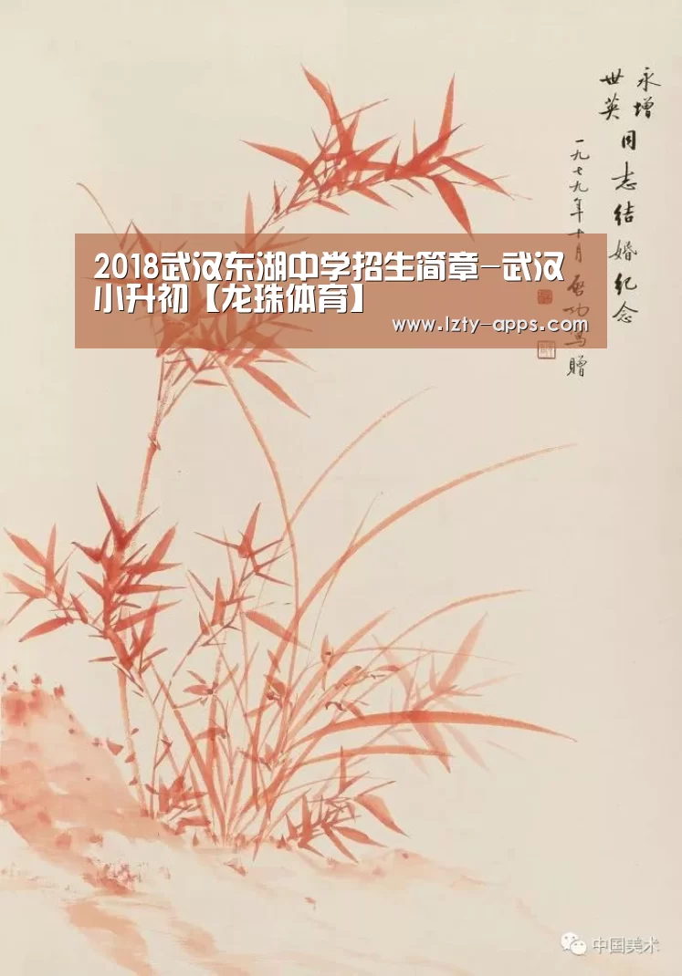 龙珠体育