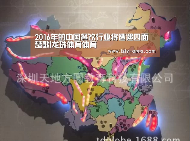 龙珠体育