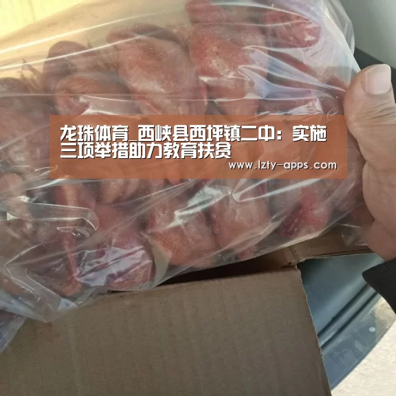龙珠体育_西峡县西坪镇二中:实施三项举措助力教育扶贫(图1) 龙珠体育体育