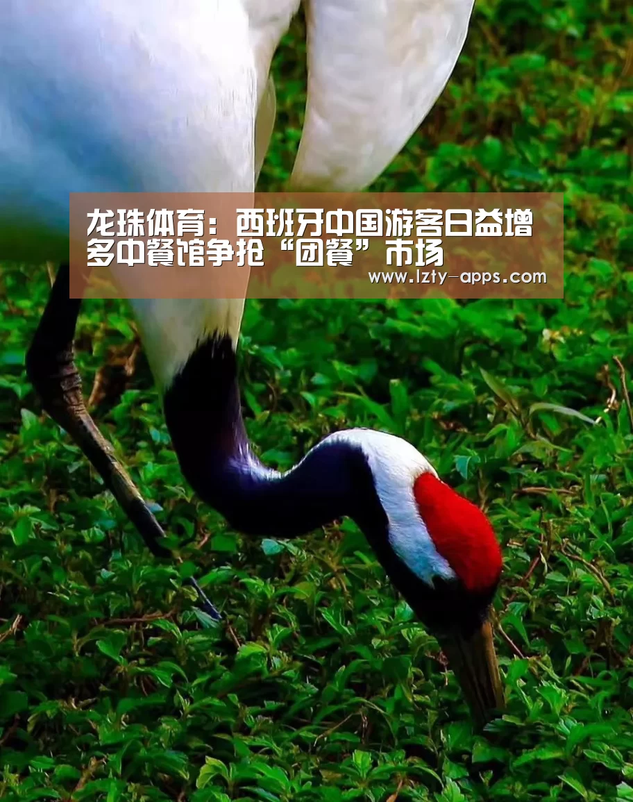 龙珠体育:西班牙中国游客日益增多中餐馆争抢“团餐”市场(图1) 龙珠体育