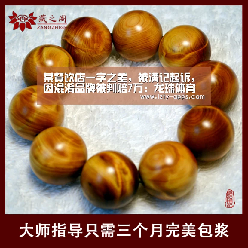 龙珠体育