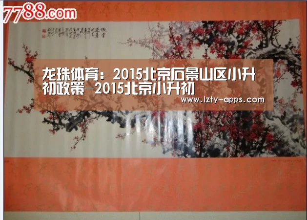 龙珠体育:2015北京石景山区小升初政策-2015北京小升初(图1) 龙珠体育