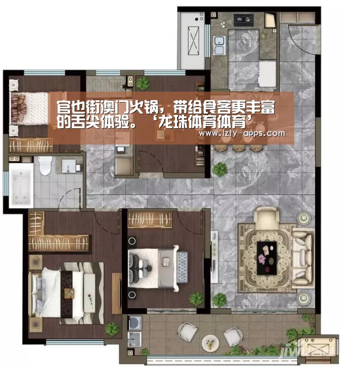 龙珠体育体育