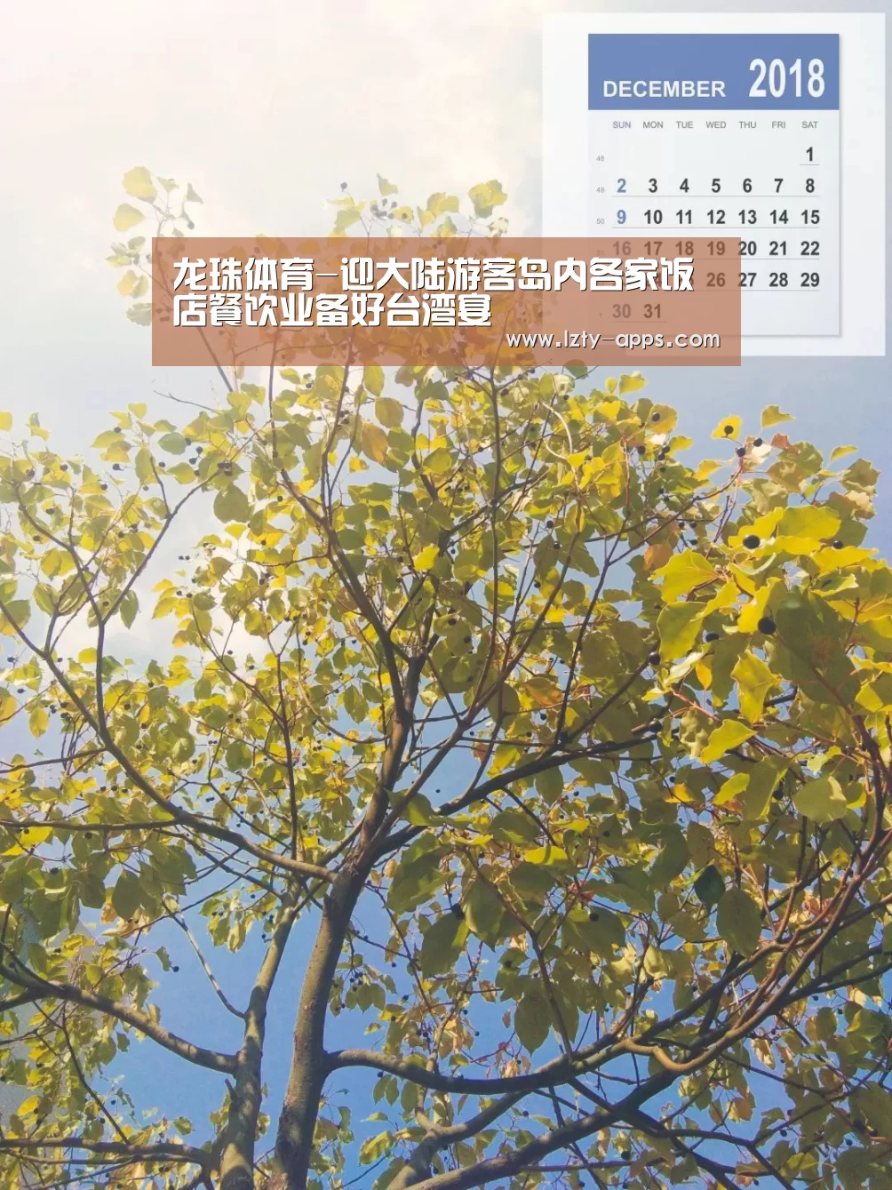 龙珠体育-迎大陆游客岛内各家饭店餐饮业备好台湾宴(图1) 龙珠体育体育