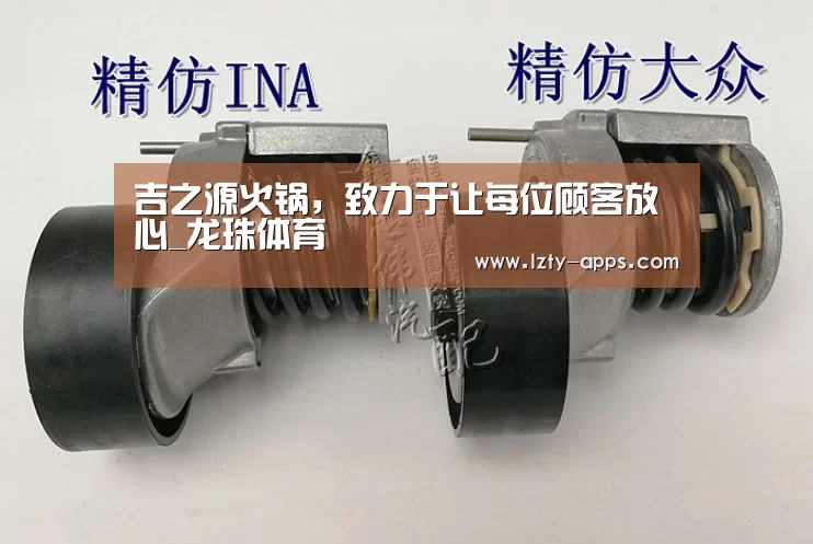 龙珠体育