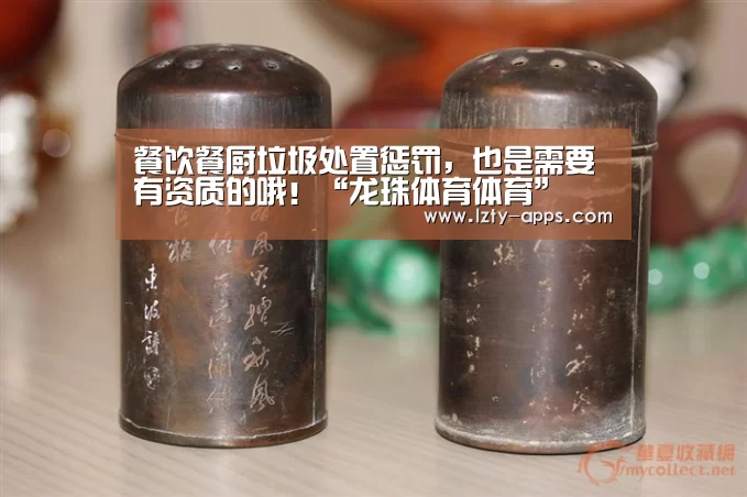 餐饮餐厨垃圾处置惩罚,也是需要有资质的哦!“龙珠体育体育”(图3) 龙珠体育